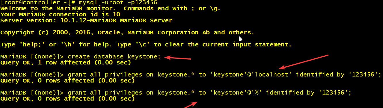 图4.1 添加数据库.png
