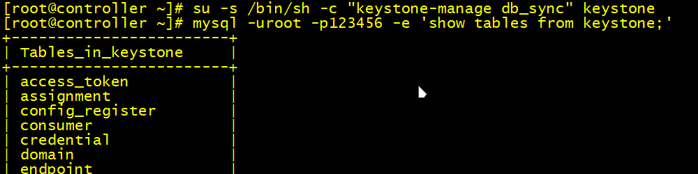 图4.3 数据表初始验证.png