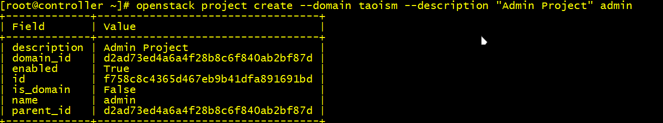 图4.8 创建管理员项目.png