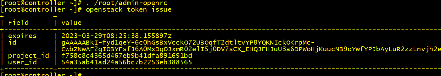 图4.12 环境脚本验证.png