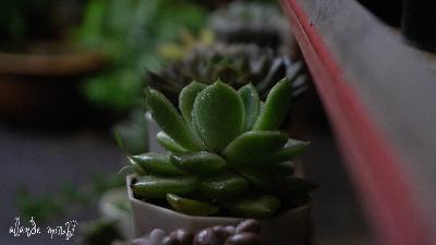 Hive数据仓库安装